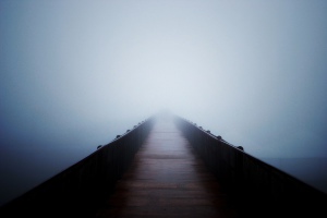 Road into fog